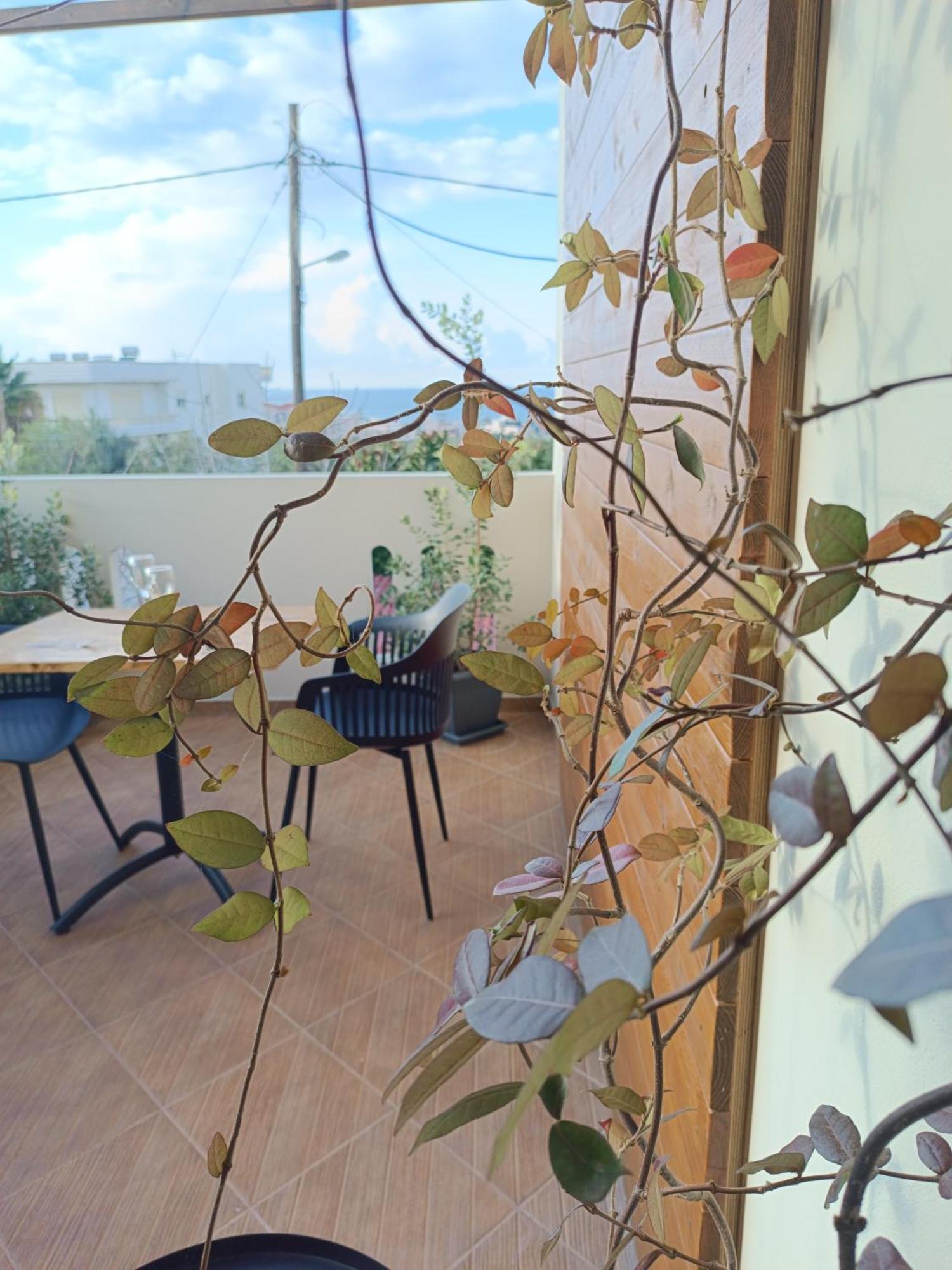 Giodriana Cozy Studio Agia Marina  Ngoại thất bức ảnh